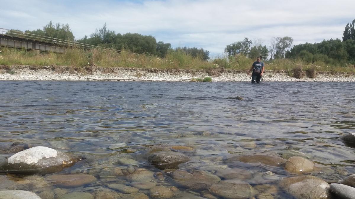 Tara McAllister doing field work, Ōpihi River