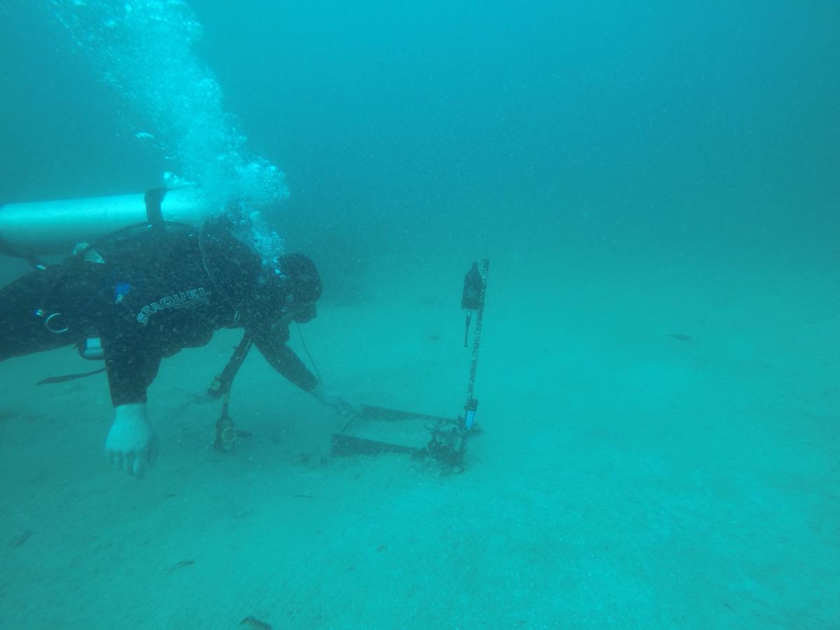 An acoustic receiver deployed on the seabed.